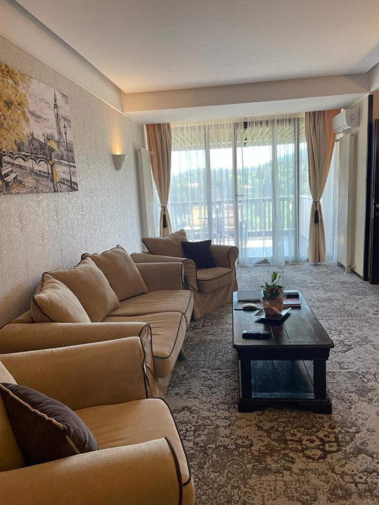 Apartament Executive Vedere Munte Alpin Resort Poiana Brasov Exterior photo
